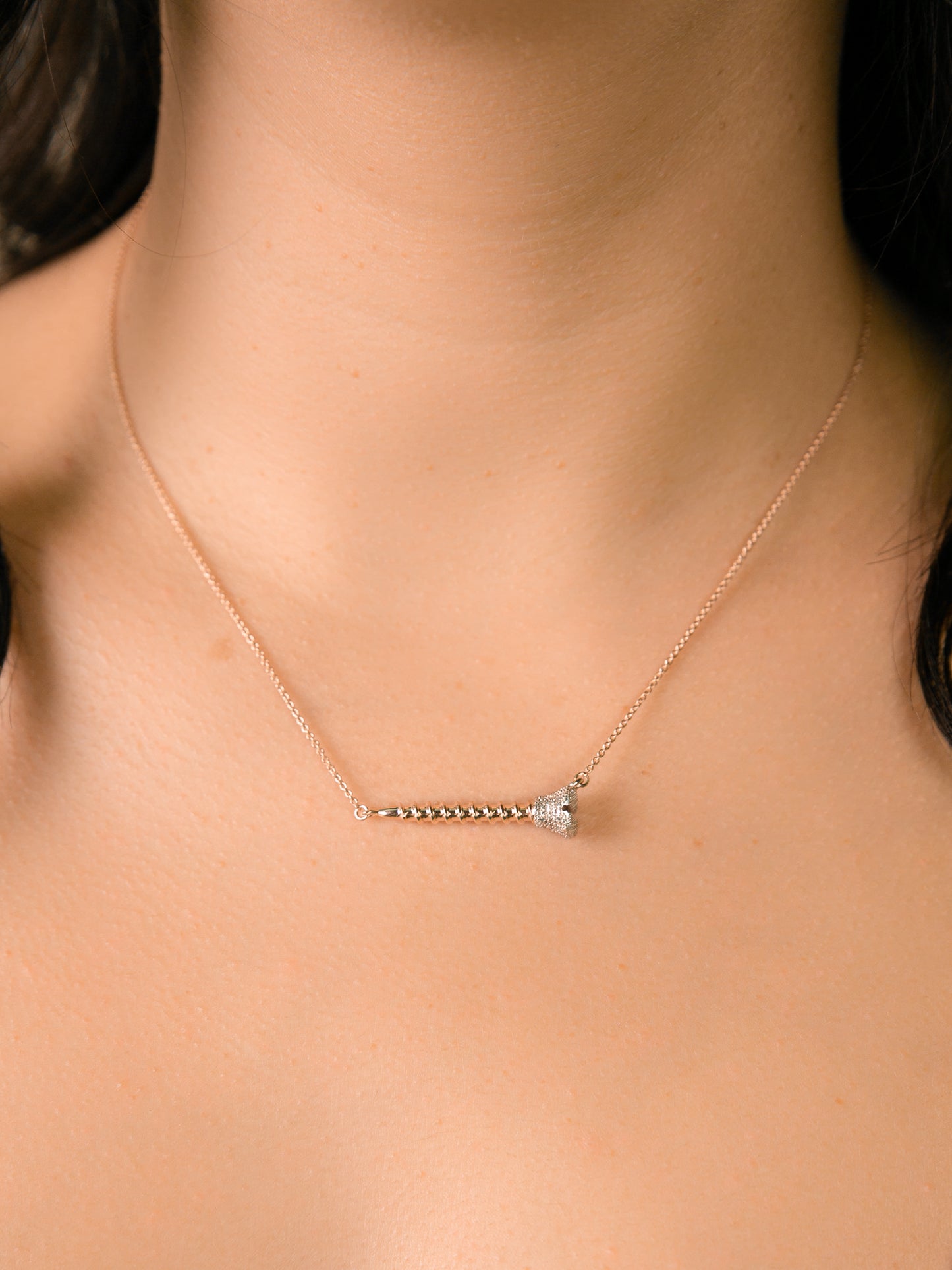 Screw You, I Got This Necklace